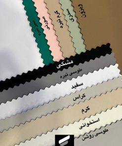 اشبالت ریو
