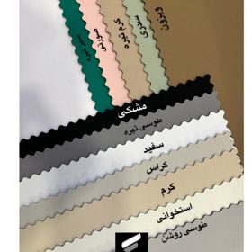 اشبالت ریو