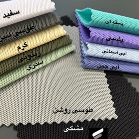 راشل ویژن (ضخیم)