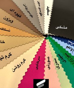 بیاله توکیو