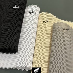 راشل بالنسیاگا